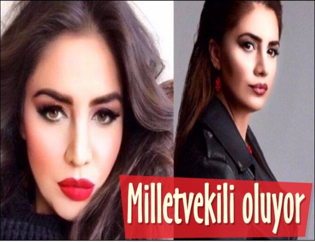 HEDEF MİLLETVEKİLLİĞİ