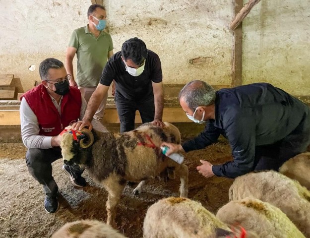 KINALI KOÇLARLA BAYRAM SEVİNCİ