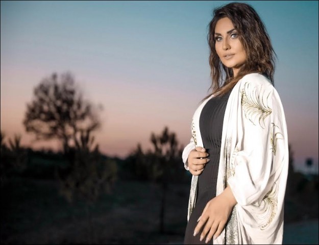 AZERBAYCAN'DAN TÜRKİYE'YE KONSER MARATONU