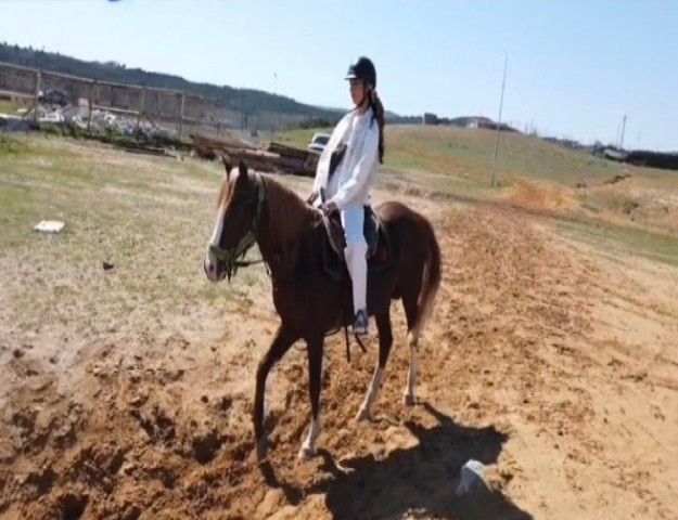 ŞİMDİ SAHİLDE AT BİNME ZAMANI