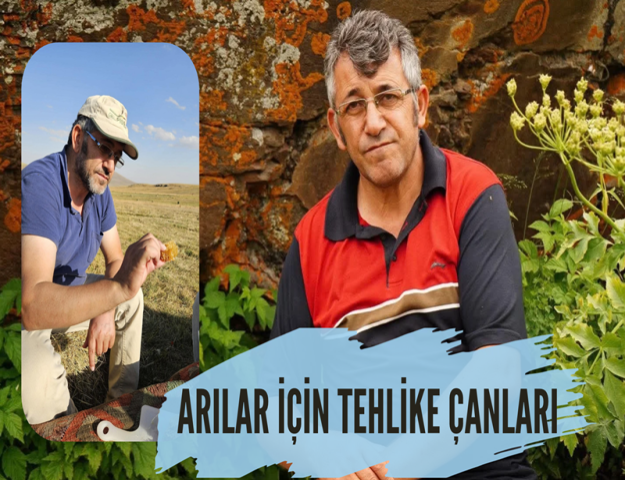 ARILARIN SESSİZ ÇIĞLIĞI