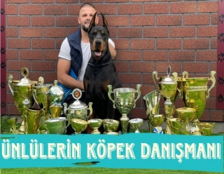 İLK AKLA GELEN İSİM