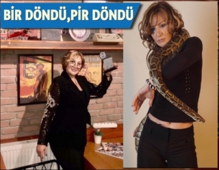 PİTON’DAN GELEN ENERJİ ZİRVE YAPTIRDI