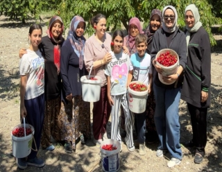 KİRAZ ÜRETİCİLERİNE DESTEK
